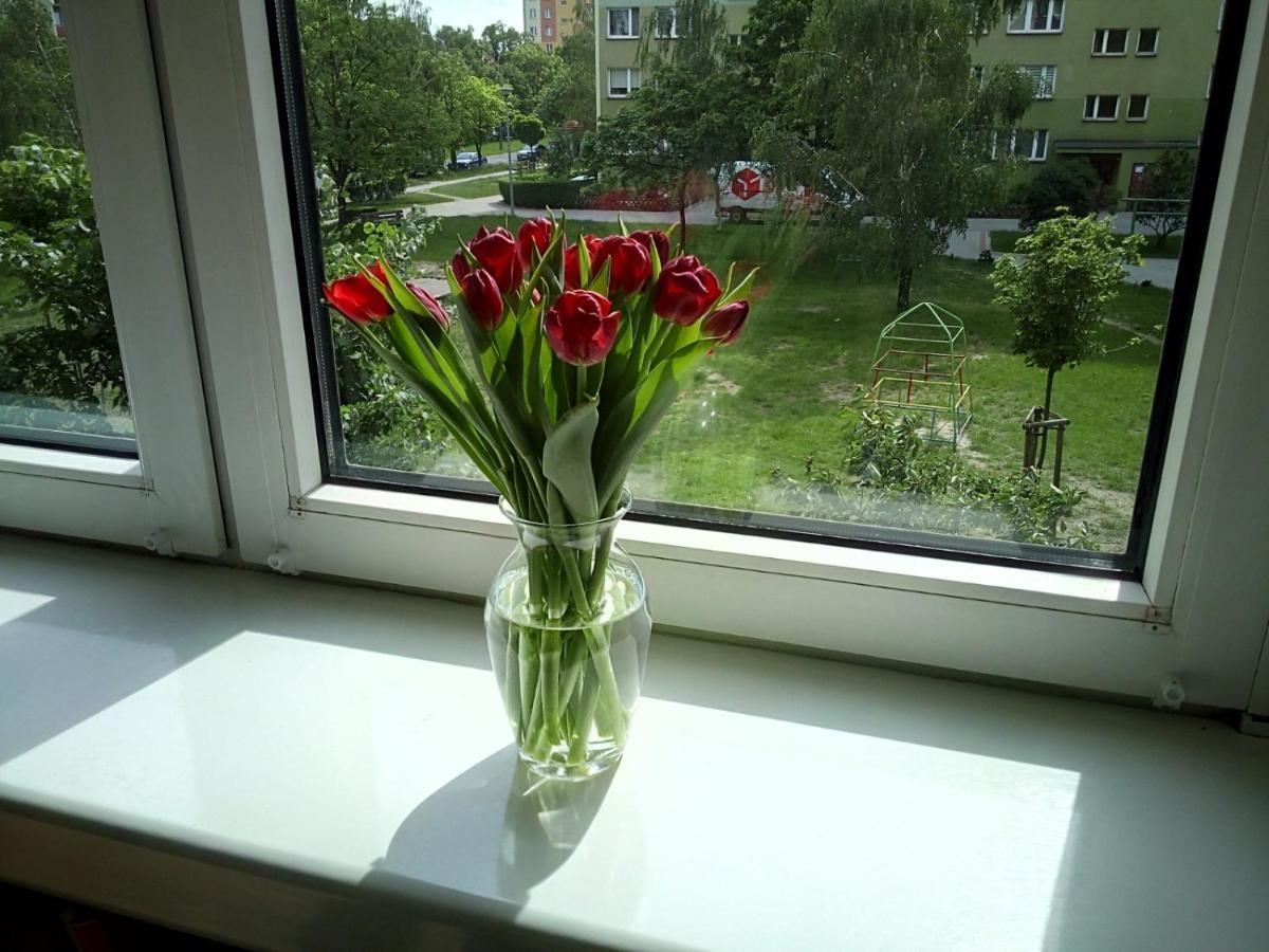 Apartament Usmiech Płock Extérieur photo