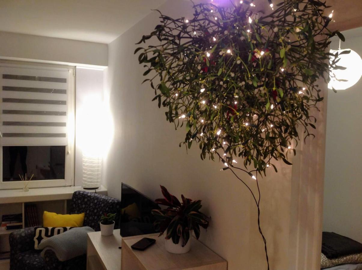Apartament Usmiech Płock Extérieur photo